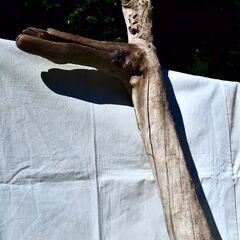 SEASIDEinterior★インテリアディスプレイに流木 Cool driftwood for decorating 167の画像