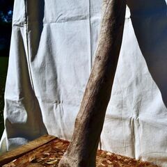 SEASIDEinterior★インテリアディスプレイに流木 Cool driftwood for decorating 167の画像