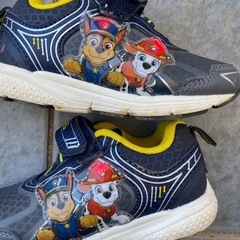 14cm〜15cm　6足 ¥1000  の画像