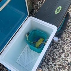 釣道具　クーラーボックス②の画像