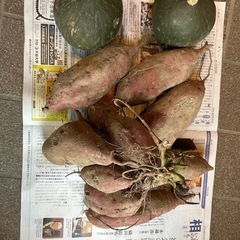無農薬野菜　さつまいもとかぼちゃ
の画像