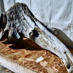 SEASIDEinterior★インテリアディスプレイに流木 Cool driftwood for decorating 168の画像