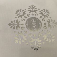 ライチの苗の画像