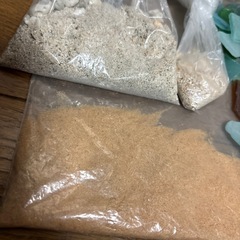 沖縄 砂 星の砂 シーグラス 貝殻 珊瑚
の画像