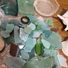 沖縄 砂 星の砂 シーグラス 貝殻 珊瑚
の画像