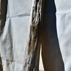 SEASIDEinterior★インテリアディスプレイに流木 Cool driftwood for decorating 170の画像