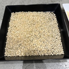 R6年産　登米市産　ひとめぼれ　60kg（30kg×2袋）の画像