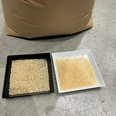 R6年産　登米市産　ひとめぼれ　60kg（30kg×2袋）の画像
