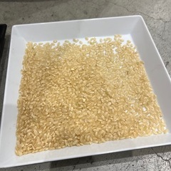 R6年産　登米市産　ひとめぼれ　60kg（30kg×2袋）の画像