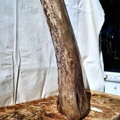 SEASIDEinterior★インテリアディスプレイに流木 Cool driftwood for decorating 171の画像