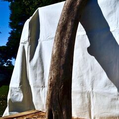 SEASIDEinterior★インテリアディスプレイに流木 Cool driftwood for decorating 171の画像