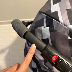 ピジョン ランフィリノン 2021年購入の画像