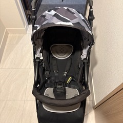 ピジョン ランフィリノン 2021年購入の画像