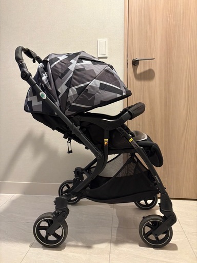 ピジョン ランフィリノン 2021年購入