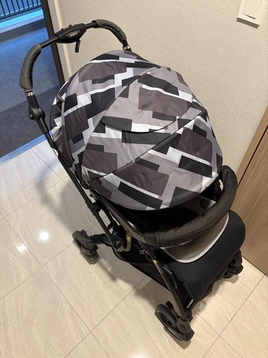 ピジョン ランフィリノン 2021年購入
