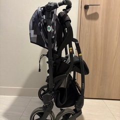 ピジョン ランフィリノン 2021年購入の画像