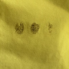 ジムオルソTシャツ110センチイエローの画像