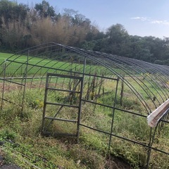 ビニールハウスの画像