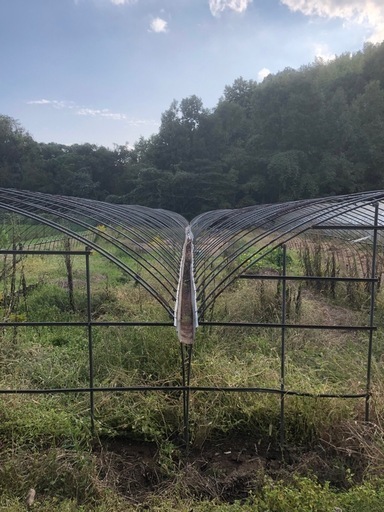 ビニールハウス残り1棟