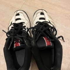 テニスの時使ってたシューズ。MIZUNO24.0センチ。の画像