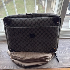 GUCCI   ＧＧスプリュームビジネスバック　きしょう希少の画像