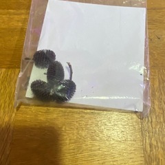 ベタ用　餌　タイリーフエキスの画像