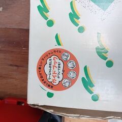 マージャンシートカビ、変形なしですの画像