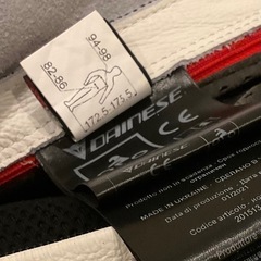 ②ダイネーゼ　レーシングスーツの画像