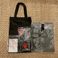 ③ダイネーゼ　レーシングスーツの画像