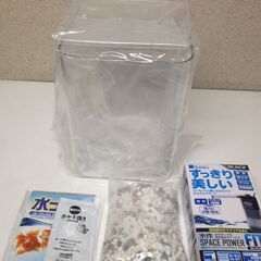 はじめての水槽セット【お子様同伴の方生体プレゼント】の画像
