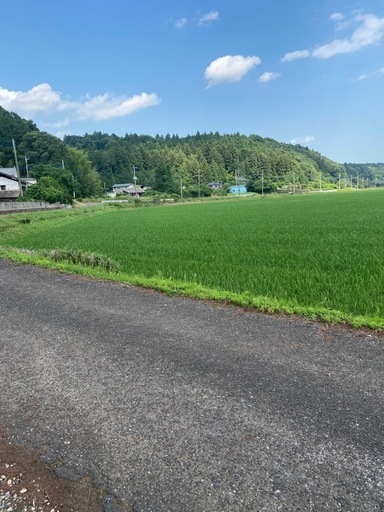 完売しました
令和7年度　農家直売　 コシヒカリ(玄米30kg )