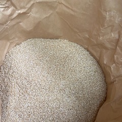 令和7年産栃木県産コシヒカリ(玄米30kg
)の画像