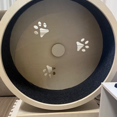 キャットホイールの画像
