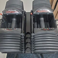 PowerBlock パワーブロック ウレタンコート Pro EXP 90 ペア 2個セット 5-90ポンド 最大41kg スタンドセット 札幌 北区の画像