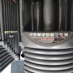 PowerBlock パワーブロック ウレタンコート Pro EXP 90 ペア 2個セット 5-90ポンド 最大41kg スタンドセット 札幌 北区の画像