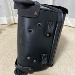 ファー付キャリーバッグの画像