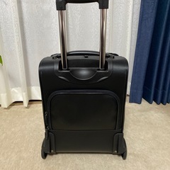 ファー付キャリーバッグの画像