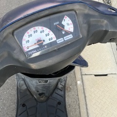 セピアの画像