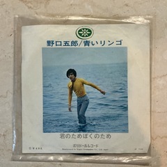 昭和歌謡曲🎤野口五郎/青いリンゴ/君のためぼくのためシングルレコード🎵1971年発売👏動作未確認❗️カラフルの画像