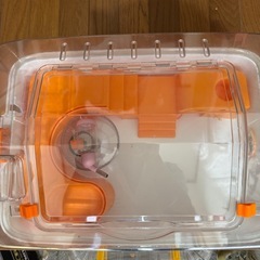 ハムスター用の画像