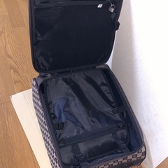 キャリーバッグ　キャリーカートの画像