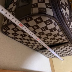 キャリーバッグ　キャリーカートの画像