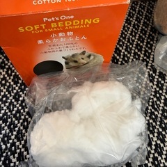 ハムスターセットの画像