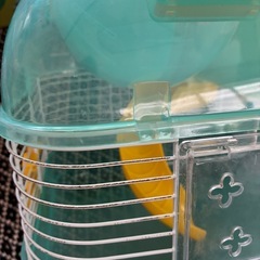 ハムスターセットの画像