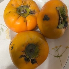 ①柿の画像