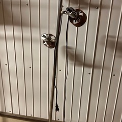 イルミネーション の画像