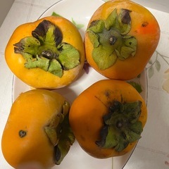 ②柿の画像