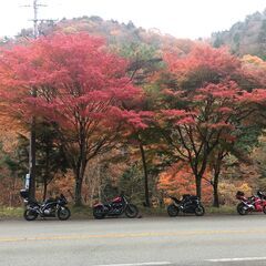 🏍バイク仲間募集🏍