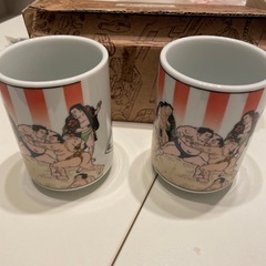 湯呑み 貴乃花 若乃花の画像