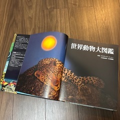 世界動物大図鑑の画像